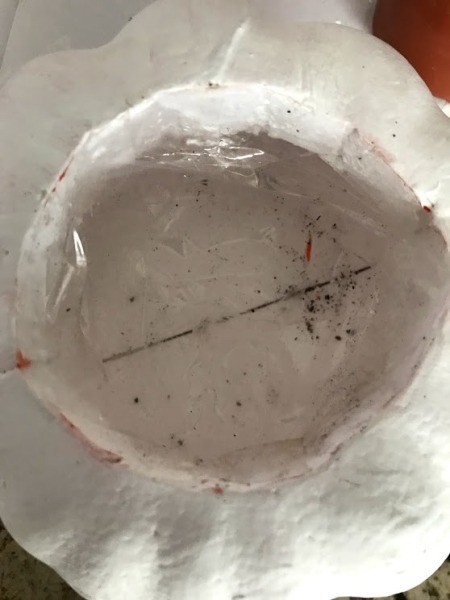 Succulent Pumpkin Planter - cut off excess to fit