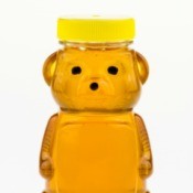 Closeup of a Honey Bear.