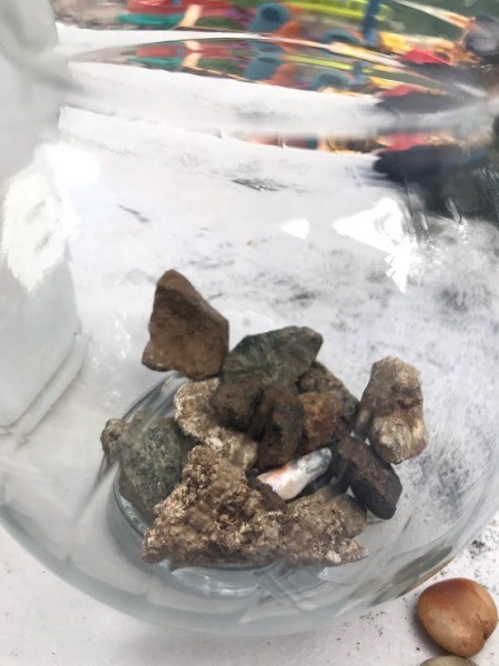 Kid Friendly Succulent Terrarium - optional glass  bowl