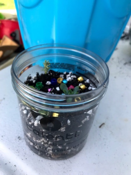 Kid Friendly Succulent Terrarium