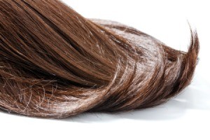long brown hair on white background.