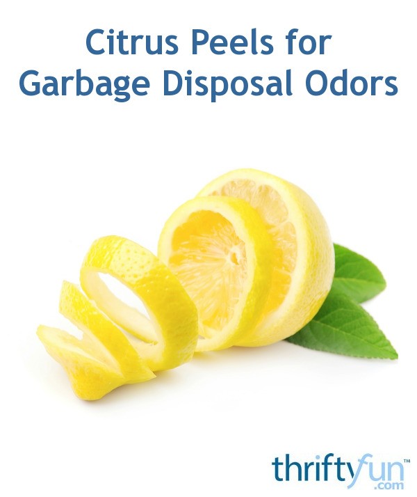 Citrus Peels for Garbage Disposal Odors ThriftyFun
