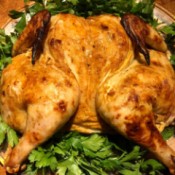 Lebanese Roast Chicken on bed of parsley