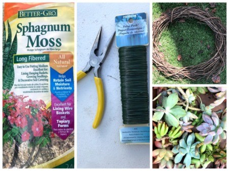 Succulent Wreath - supplies