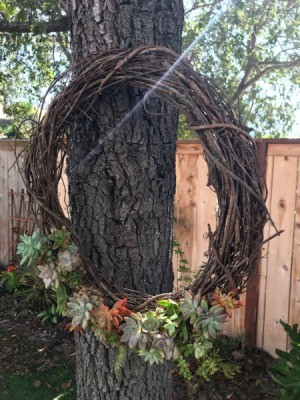 Succulent Wreath - wreath hanging on a tree