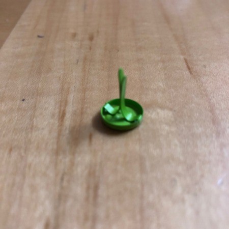 Pumpkin Garland - green brad