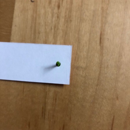 Pumpkin Garland - begin adding strips to the brad