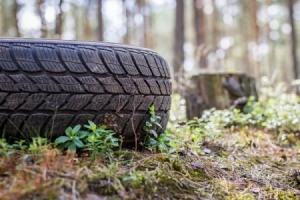 Tire on the ground outside near trees.