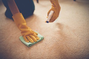 Person spraying a carpet stain.