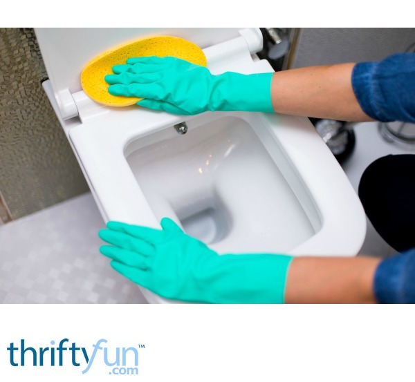 Removing Liquid Toilet Bowl Cleaner Stains from a Toilet Seat? ThriftyFun