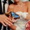 Bride and groom with butterflies on their hands.