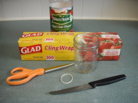 Making a Gnat Trap -  supplies