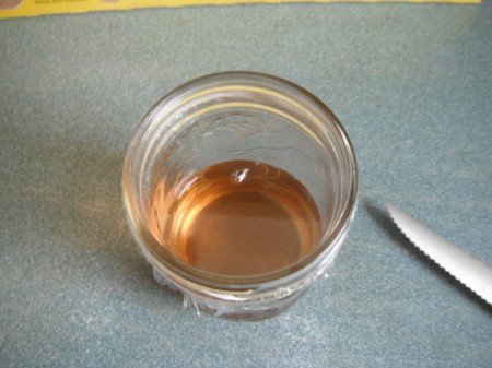 Making a Gnat Trap - cling wrap covered jar