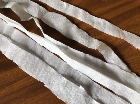 Fun Halloween Bathroom Decor - cut toilet paper into long thin strips