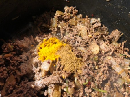 adding spices to ground beef and onions