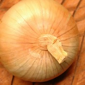 Vidalia Onion