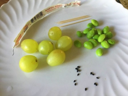 Grape and Edamame Caterpillars - supplies