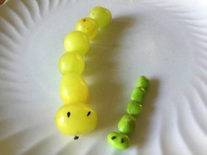 Grape and Edamame Caterpillars - one of each type of caterpillar