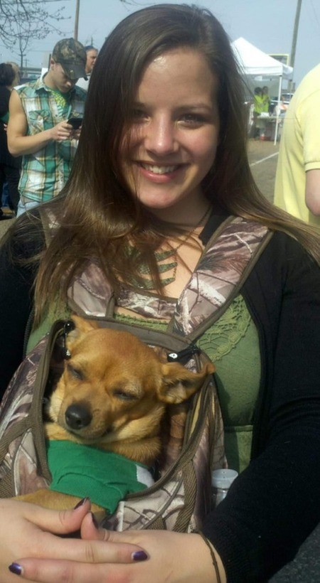 Chevy (Chihuahua/Jack Russell)