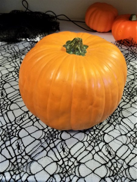 Black Lace and White Ribbon
Pumpkin - pumpkin sitting on black lace