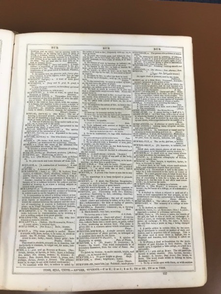 Value of an 1853 Webster's Dictionary