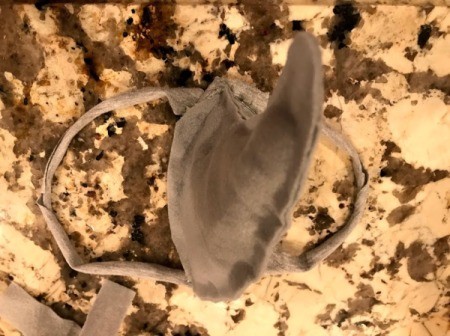 Kid to Toddler Shark Halloween Costume  - straps in place