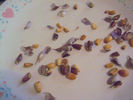 Removing the skins from tiny garlic cloves.