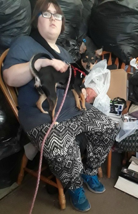 What Breed Is My Miniature Pinscher Mixed With?