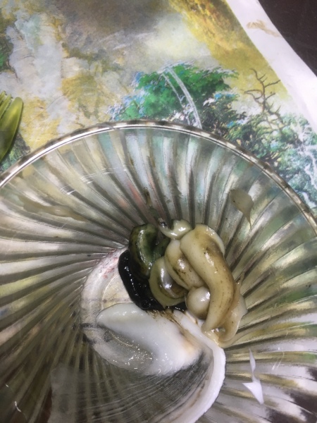 Using Open Hair Color - blob of color