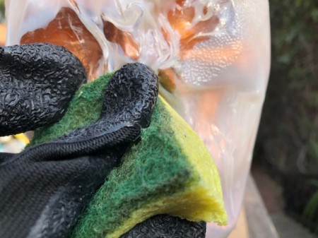 Milk Jug Skulls - press wet sponge into the eyes and nose to mold to skull