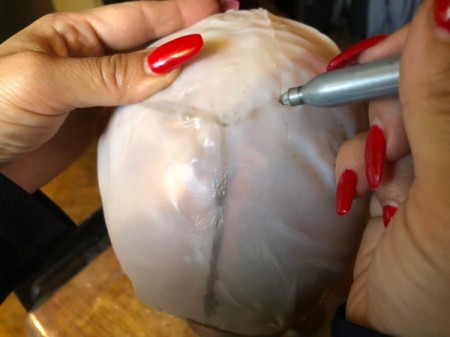 Milk Jug Skulls - mark the Y incision needed to remove the jug