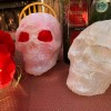 Milk Jug Skulls - two skulls, one with red flowers in the eye sockets