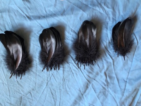 Raven Masquerade Costume - sort and pile feathers by size