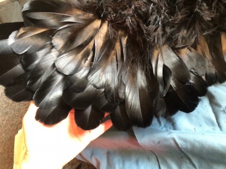 Raven Masquerade Costume - use longest feathers for the third row and fill any gaps