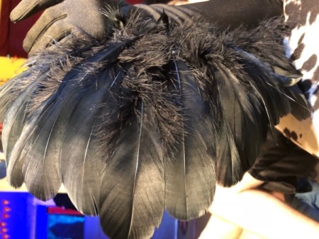 Raven Masquerade Costume - check the backside for any need to make corrections