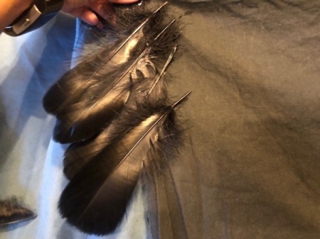 Raven Masquerade Costume - cut a piece of fabric for the tail and add feathers to sides, pointing downwards