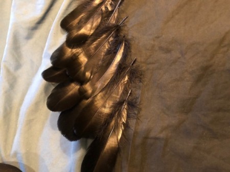 Raven Masquerade Costume - add a second layer of long ones to the first row