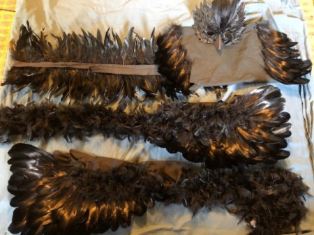 Raven Masquerade Costume - all the parts to the costume