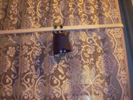 Hanging Bats - or curtain rod