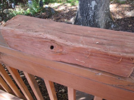 Firewood or Broken Tree Branch Tea Light Holder - firewood