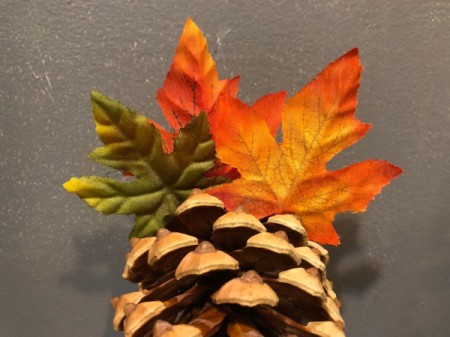 Pinecone Turkey - glue leaves onto the pinecone to make the tail
