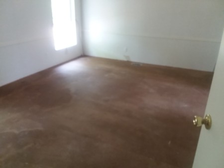 Removing a Dead Animal Odor from a Mobile Home