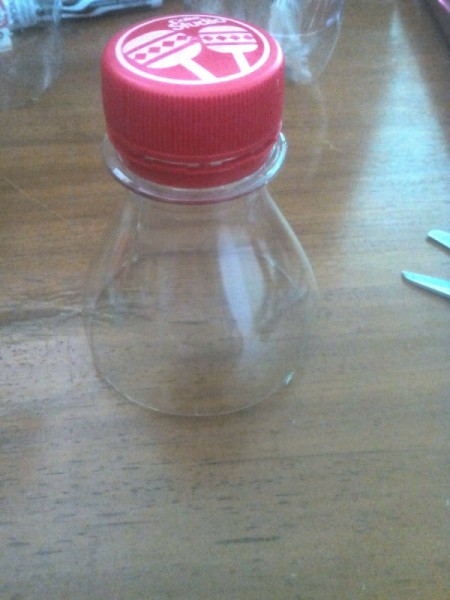 Apple-Bottle Christmas Gift Container - cut at top