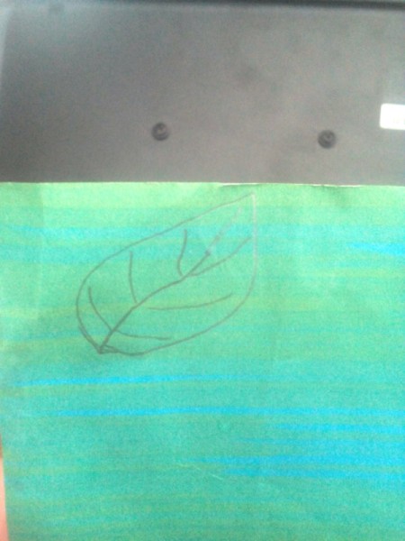 Apple-Bottle Christmas Gift Container - draw a leaf on green paper