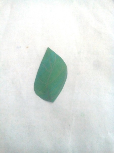 Apple-Bottle Christmas Gift Container - cut the leaf out