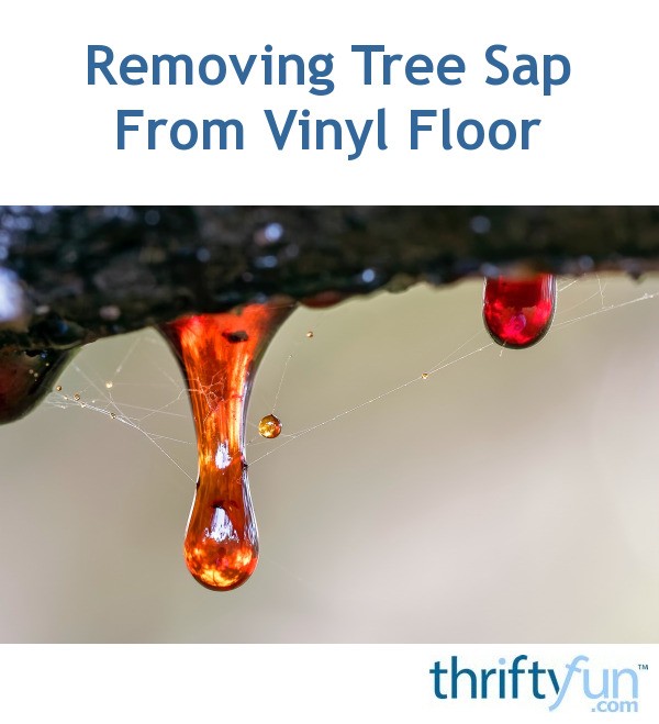 Removing Tree Sap From Vinyl Floor? ThriftyFun