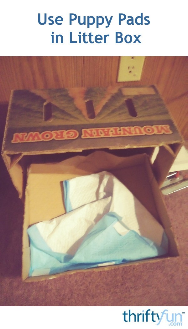 Use Puppy Pads in Litter Box ThriftyFun