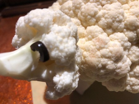 Cauliflower Sheep Centerpiece - insert toothpick halves into the sheep's head and hang the olives over them