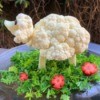 Cauliflower Sheep Centerpiece - cauliflower sheep centerpiece before the feast