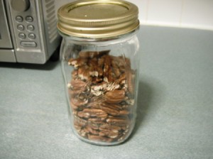 Roasted Pecans in quart jar